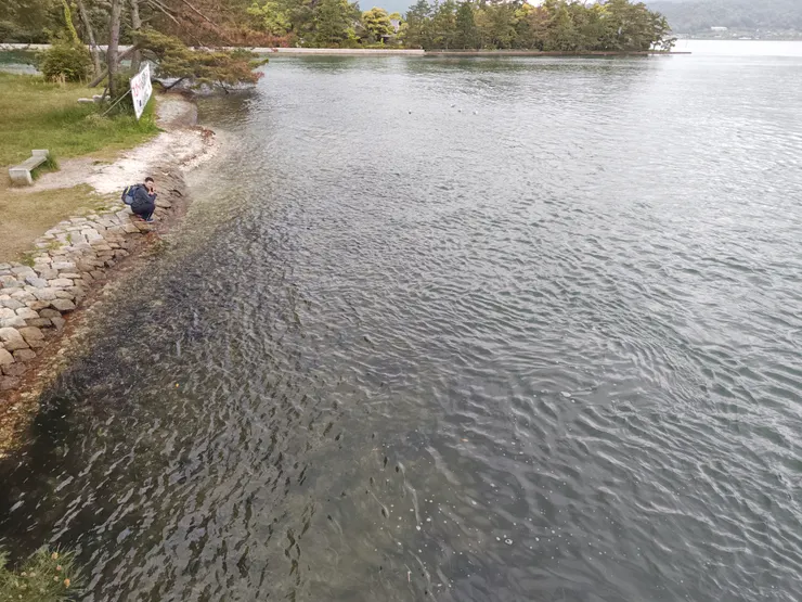 跟老婆大人回報中的Ｊ桑