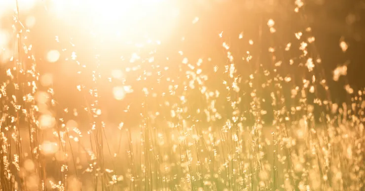 Photo by Kent Pilcher on Unsplash