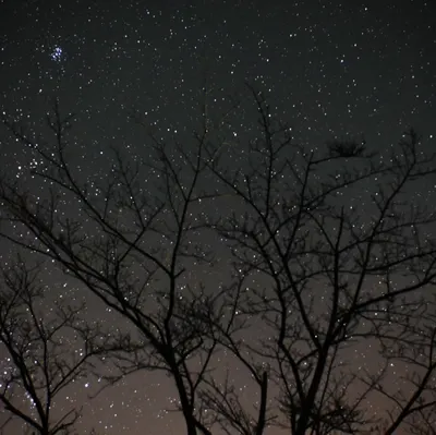 虛構事務所｜劇場＆電影的放縱時光