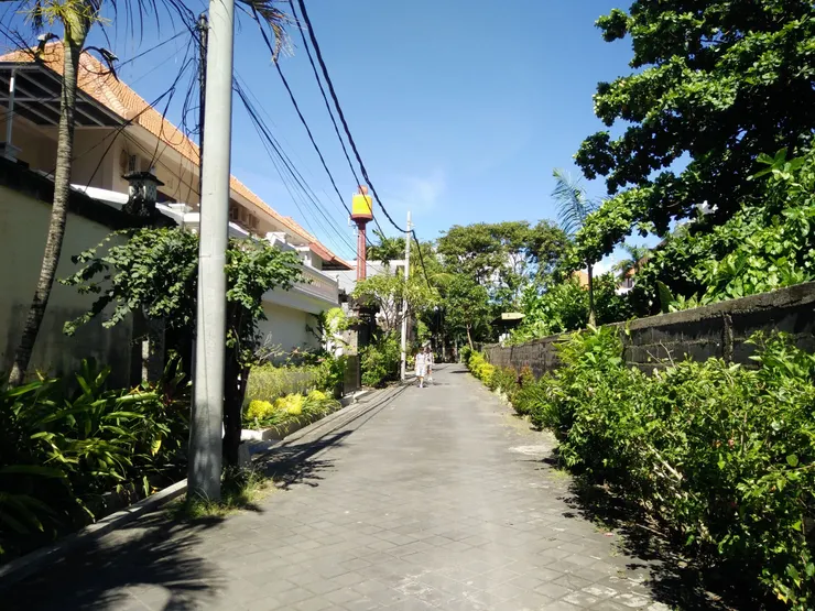 小巷越往深處就越多的植物包圍，感覺很好。