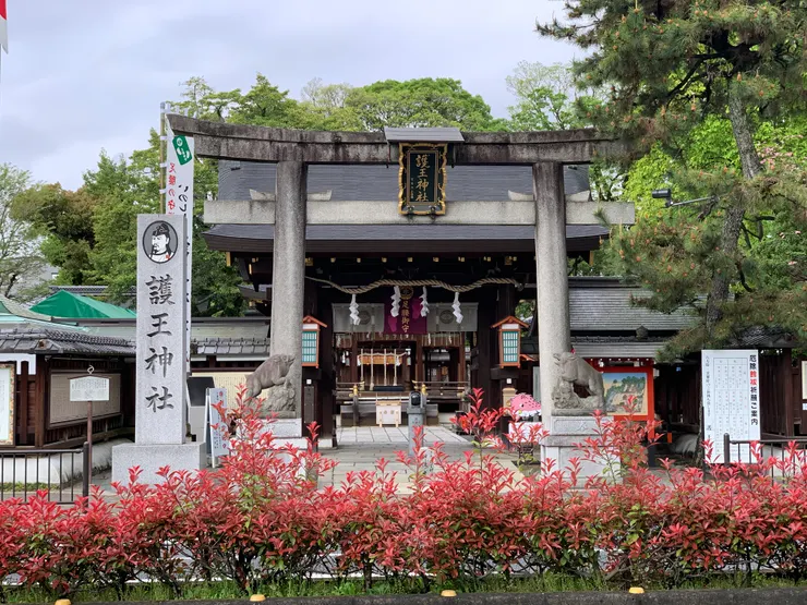 御所對面的護王神社