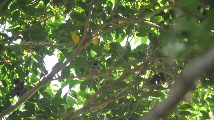 起初的照片都興奮過頭手也震了