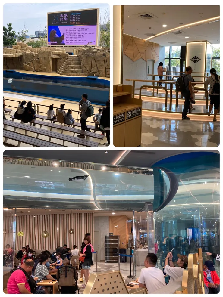有海獅的表演區還有令人驚艷的企鵝餐廳!