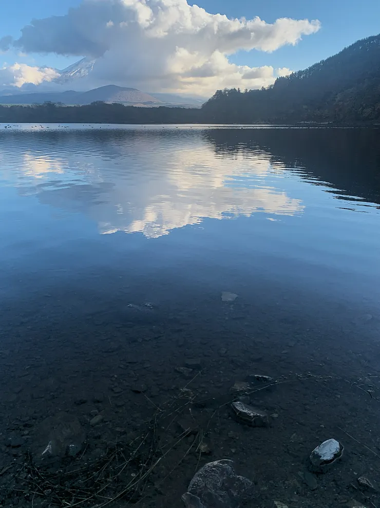 Zora 攝於精進湖,2024 / 11 / 21。