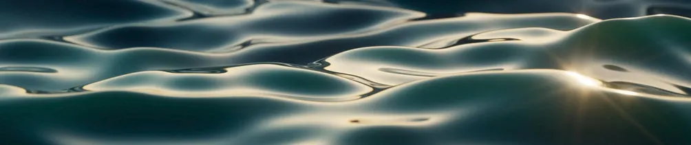 甯水小姐聊天式