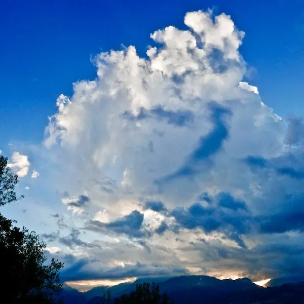 Photo by David Whyte