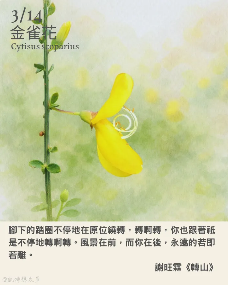 3 月 14 日｜金雀花×謝旺霖《轉山》