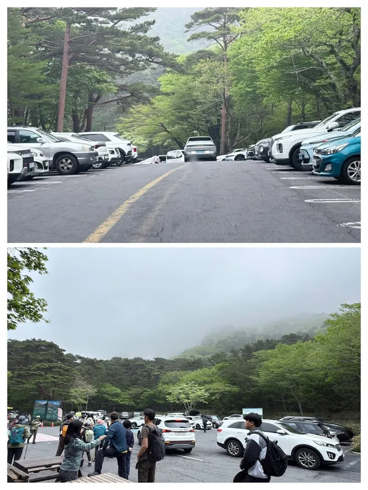 熱鬧的靈室休息站停車場