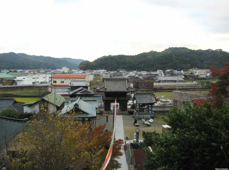 從平等寺回頭看