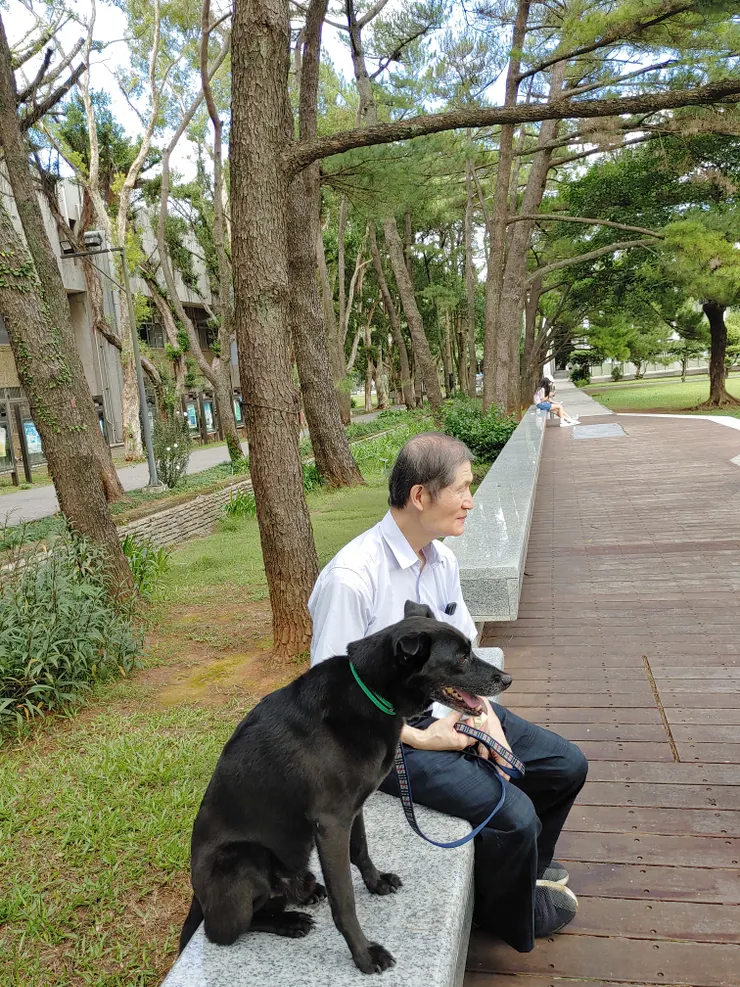 何以竟忘昔日情?