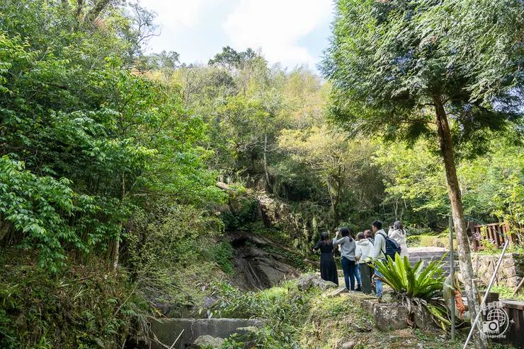 圓潭自然生態園區,圓潭生態園區,圓潭,嘉義景點,梅山景點,瑞里景點,嘉義,登山步道,戶外休閒,嘉義IG打卡
