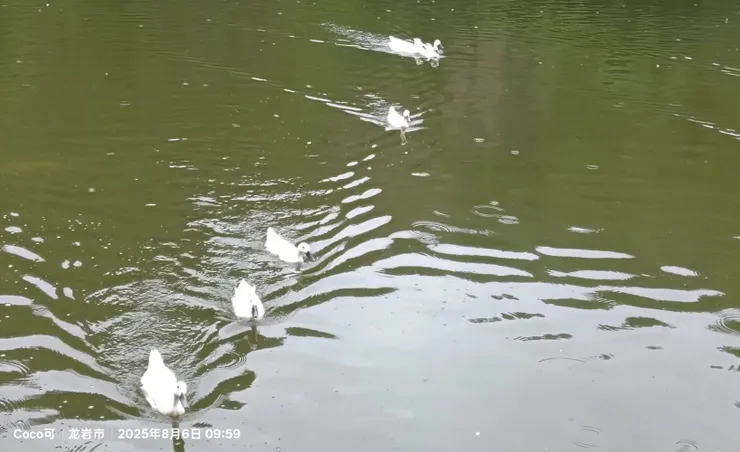 彭可—跨媒體平臺的傑出領航者+社會公益的先行者。（圖/彭可拍攝）