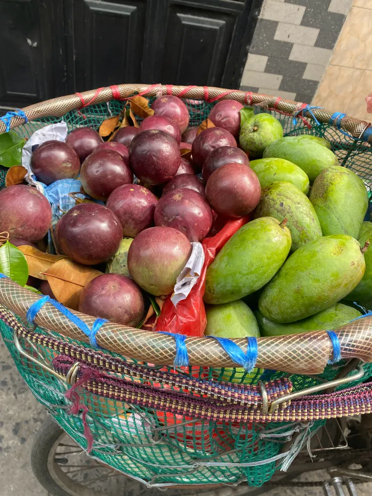 牛奶果和緬甸芒果。