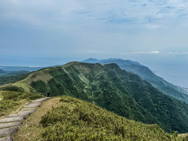 Connie妹妹來了！！