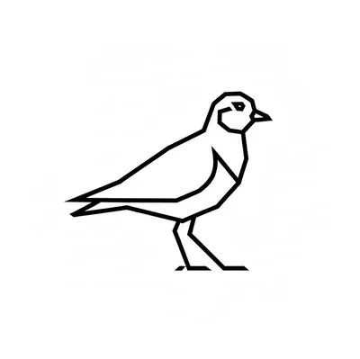 一鴴的逆風飛行