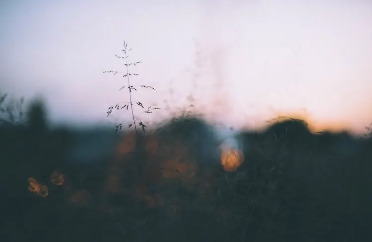 Tingyuan｜Film Night