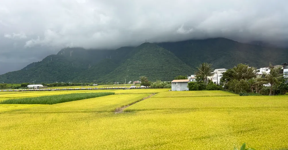 侘寂人生的沙龍