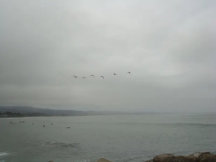 Half Moon Bay半月彎