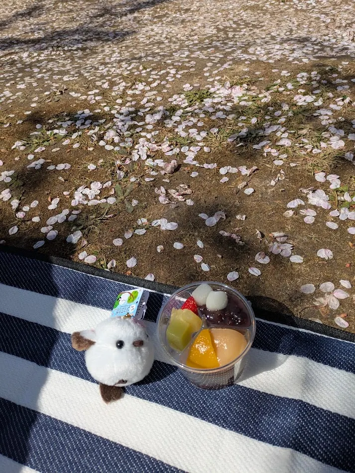 悠閒的野餐時光