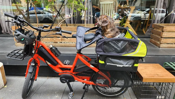 E-Cargo Bike 