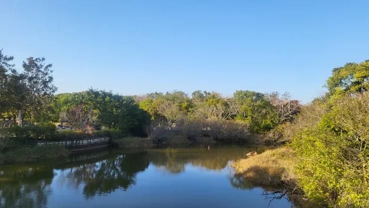 台中都會公園(李建崑攝影) 