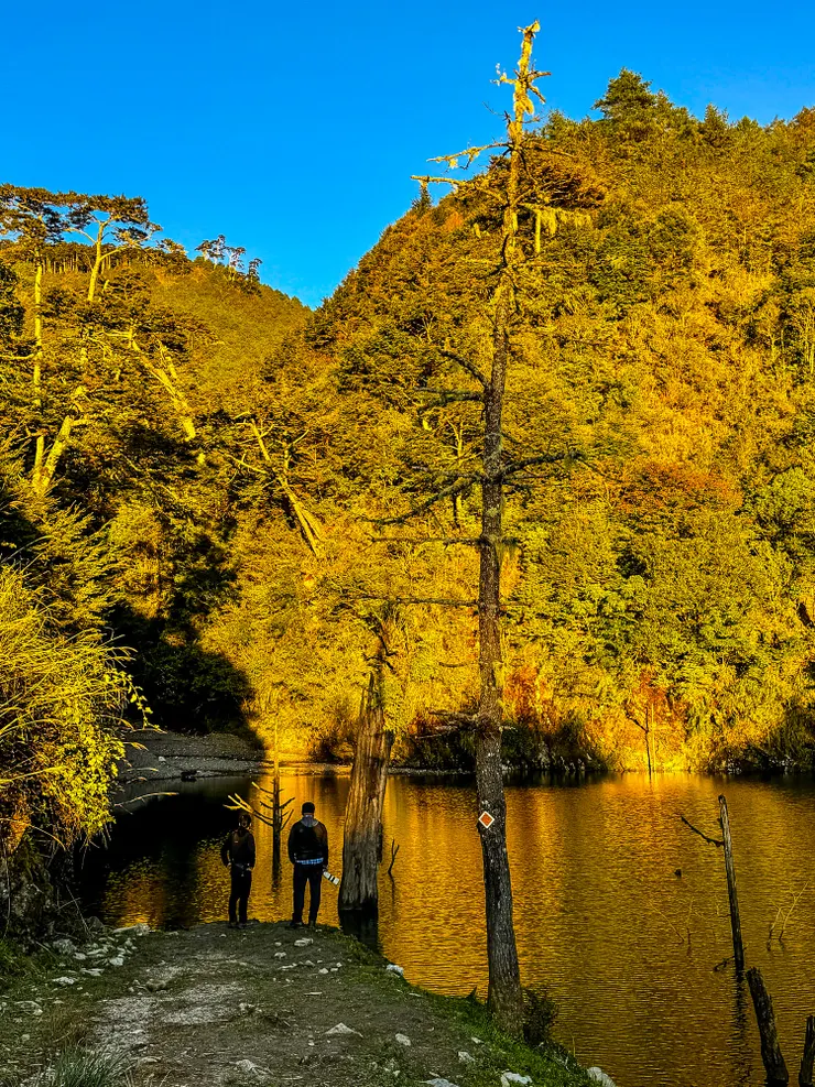 不說的話還以為在加拿大呢~