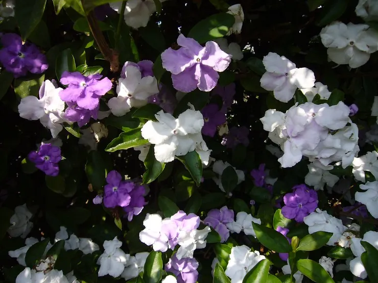 Yesterday-Today-Tomorrow（photo credit to Yan-Di Chang）