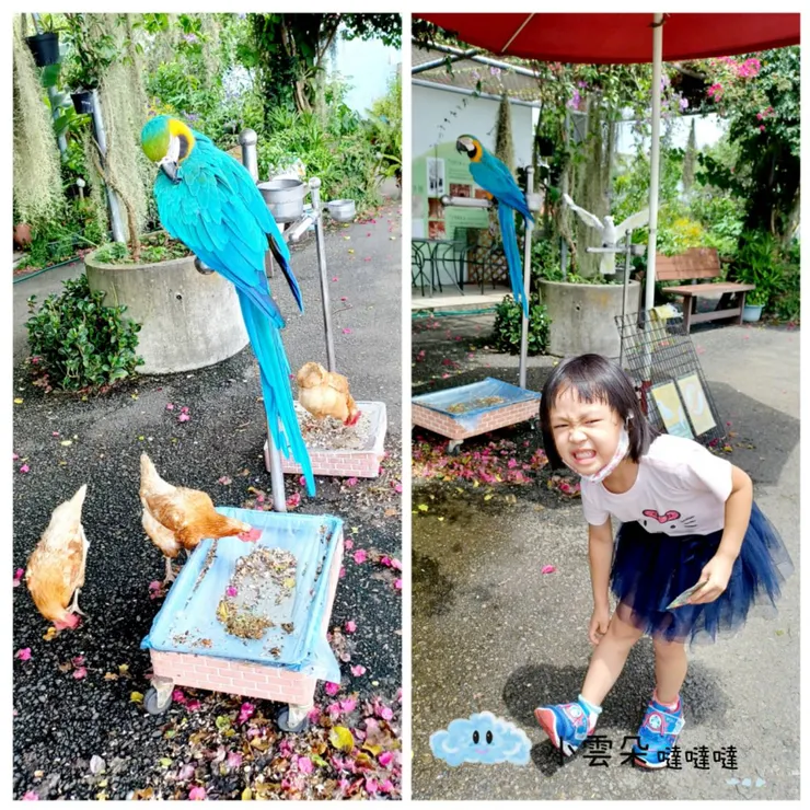 園區內還有其他禽鳥，還有記得防蚊