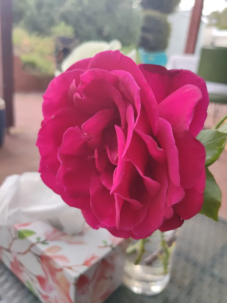 世界可以因為我們散播出去的愛變得更美好