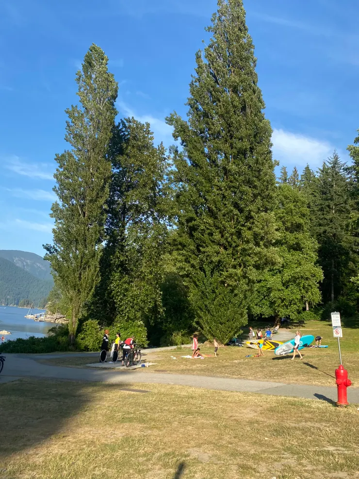 曬太陽跟sup的人