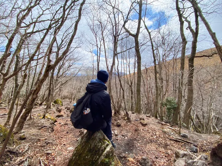 日本大分-由布岳 || 沿途景色