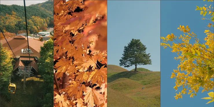 （寫在前頭：類流水帳紀錄，沒什麼重要經驗分享心得總結，寫出來最大的目的其實是想曬照片XD）