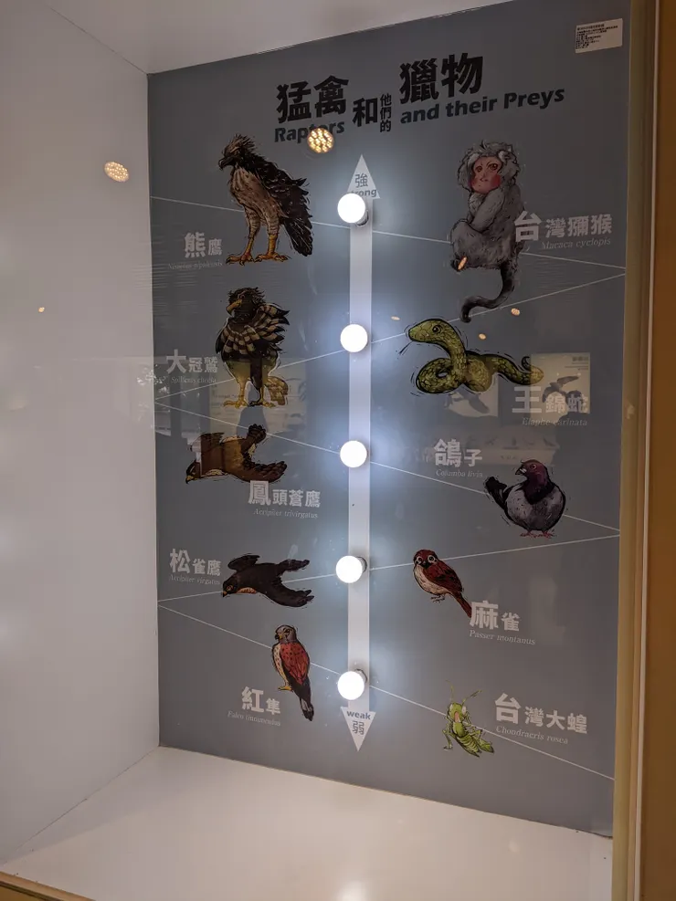 成人亮全燈應該不是難事