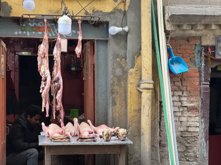 右下方似乎是兩顆羊頭。