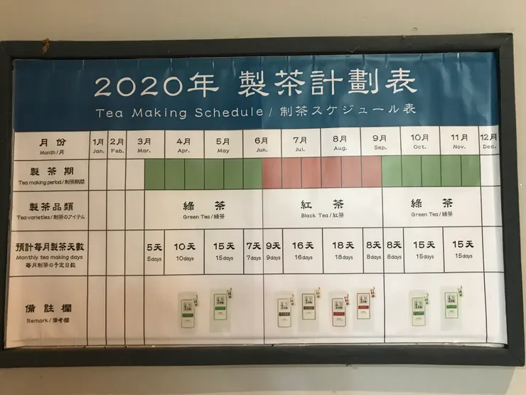 大溪老茶廠製茶時間