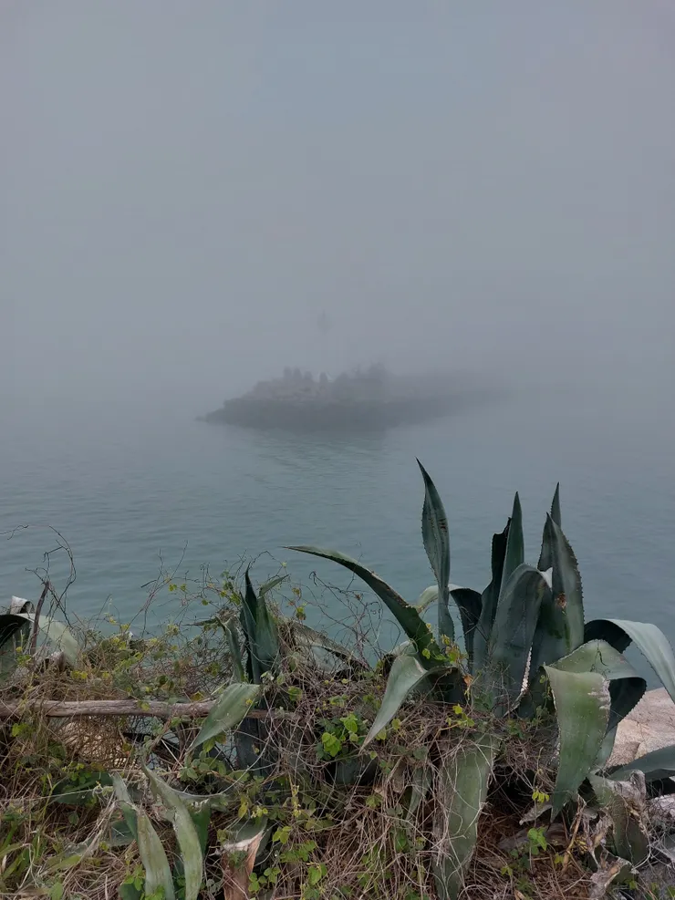 霧濃到連幾公尺外的堤都看不太清楚