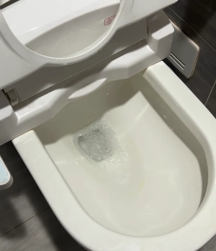 已經加到水箱裡面,那圈尿垢等等就不見!