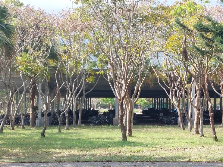 停車棚裡黑壓壓一片 / 資料來源：我自己