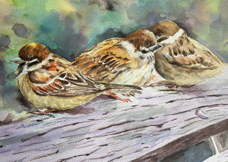 麻雀 作者繪於2024冬