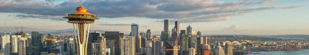 嗑松子儿的白肉的沙龍