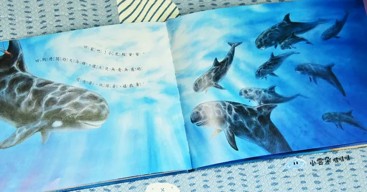 安安重回遼闊的大海