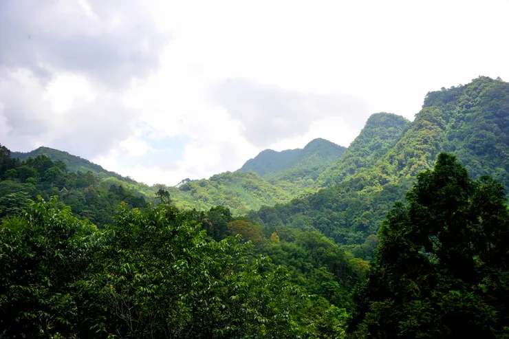 【山行玫瑰簡餐裹腹佐配雲山壯麗 不知明日如何仍要相約來年再聚】