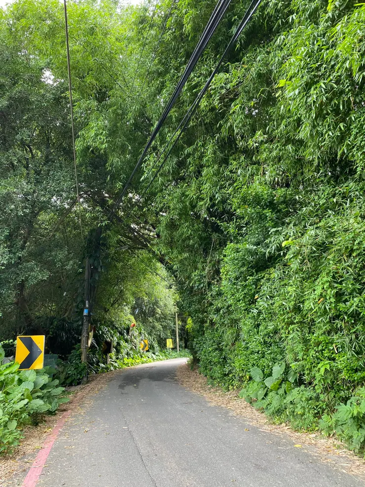 民生路古道。2022.5.29拍攝