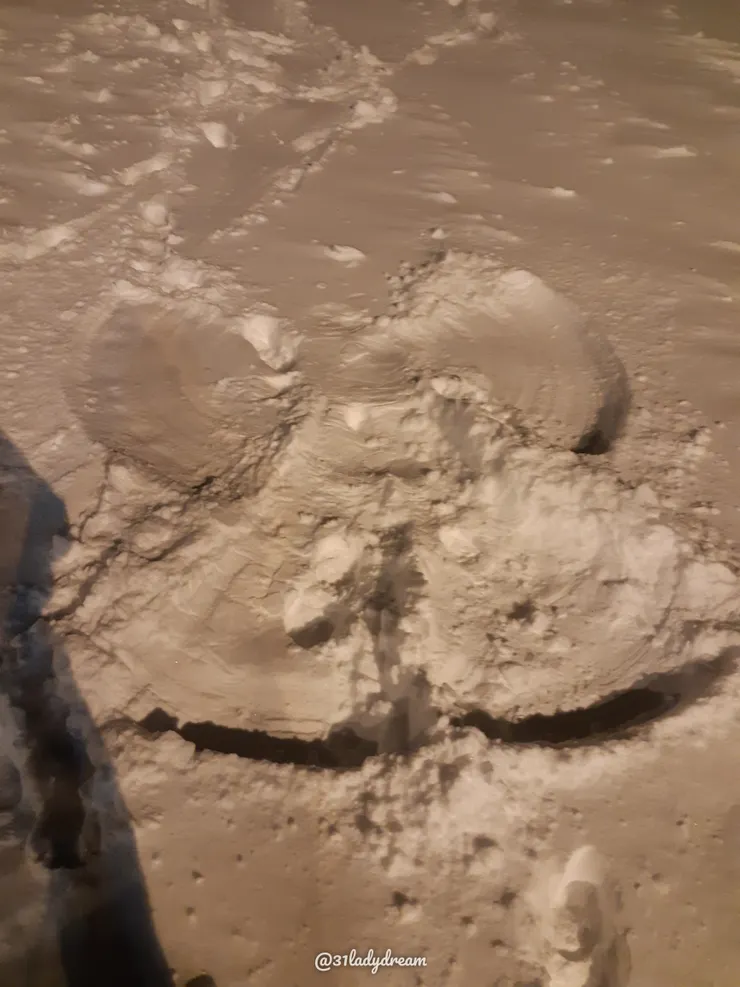 跟新認識的朋友一起玩雪天使