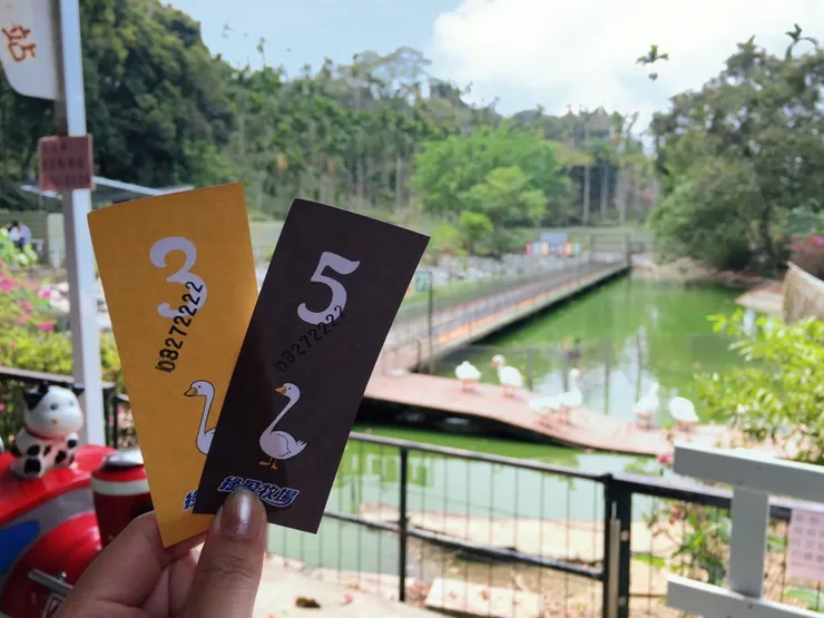 媽媽賽跑可以挑號碼,猜看看哪隻鵝媽媽會拔得頭籌