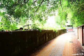 為了躲狗只好走旁邊的並行道路，右邊的圍牆是中山國小操場圍牆(往台泥方向拍)