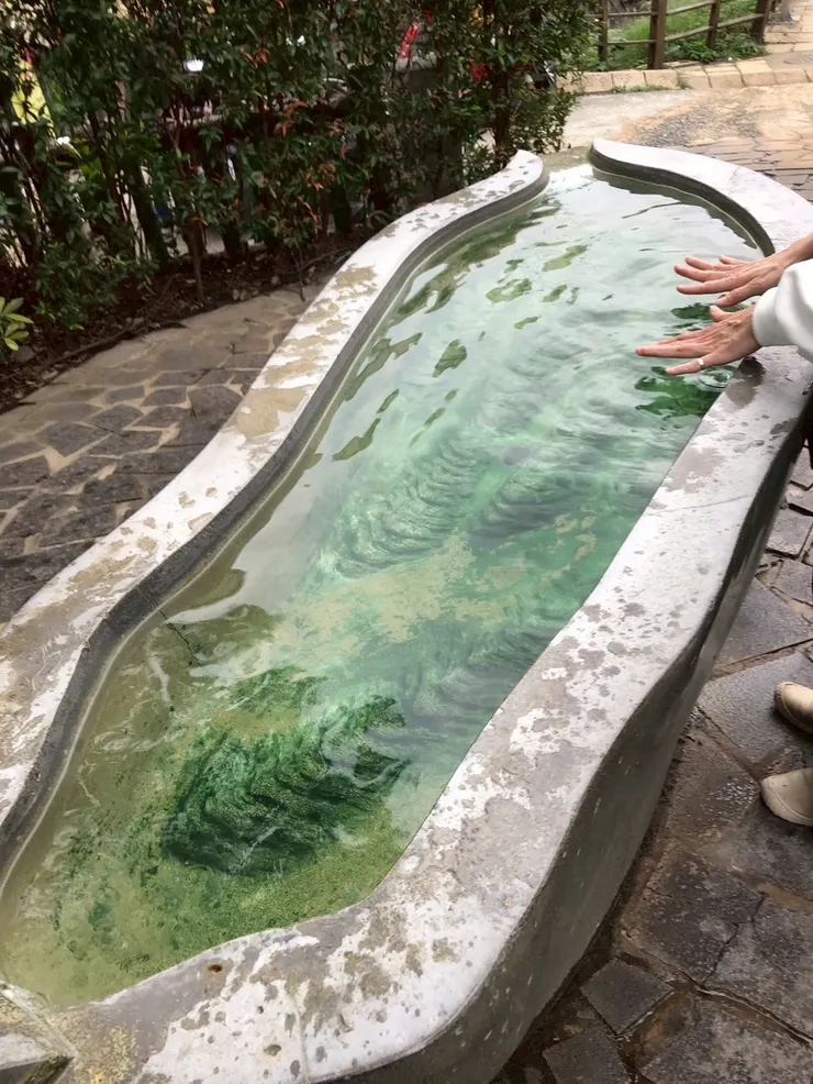 地熱谷入口處有手湯可以泡,溫度很剛好