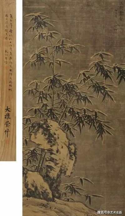 雪竹