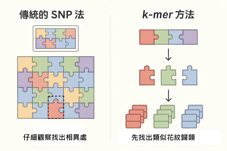 圖片作者：ChatGPT