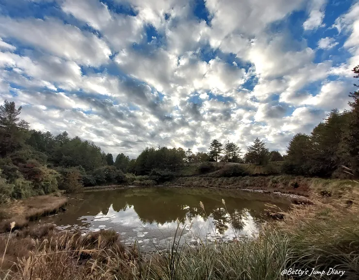▲台中「大雪山國家森林遊樂區」/圖片來源：Betty's Jump Diary